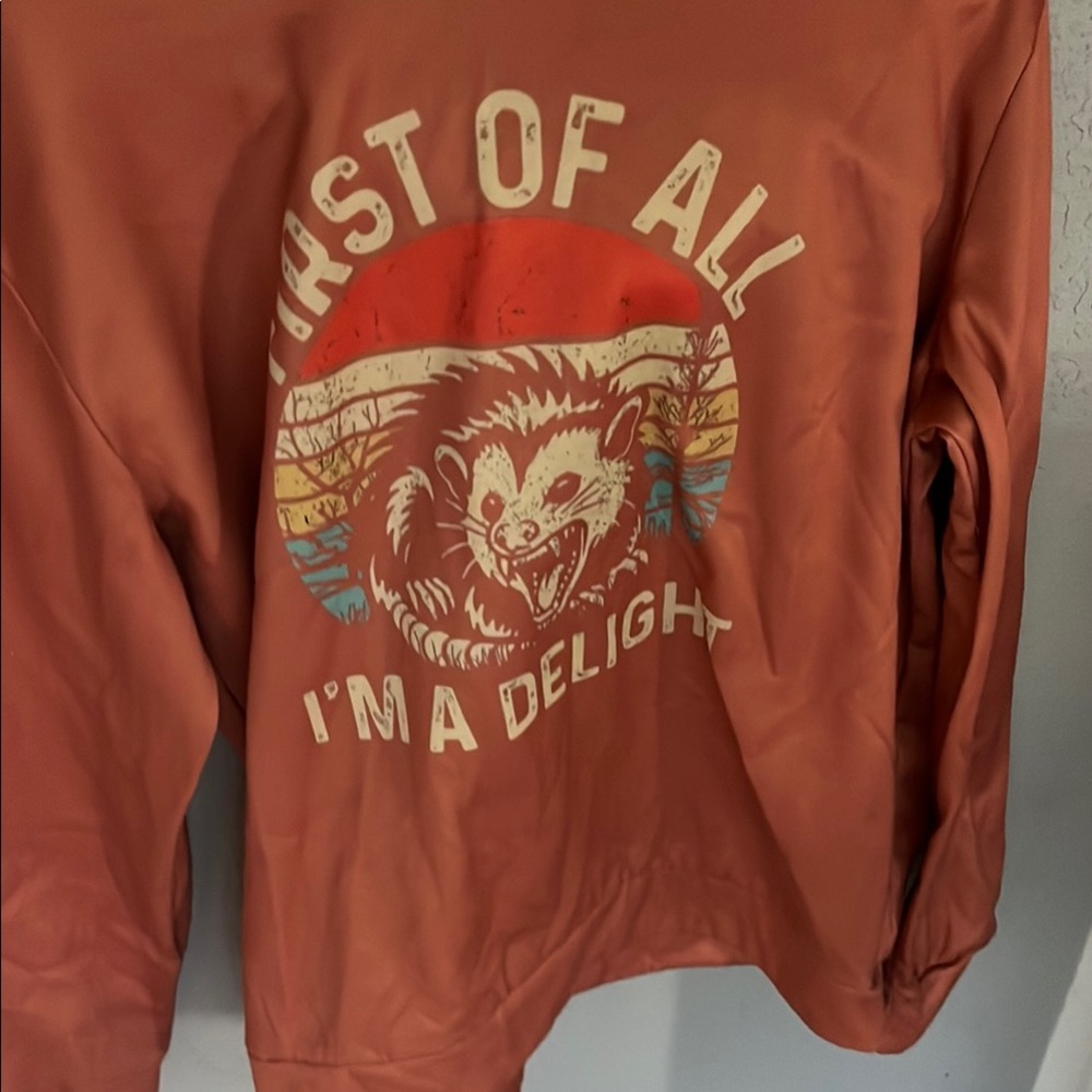 Orange Hoodie with “first of all i’m a delight”